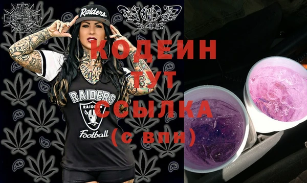 скорость Ладушкин