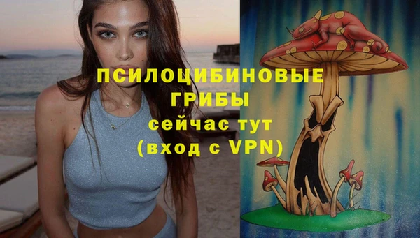 гидра Кукмор