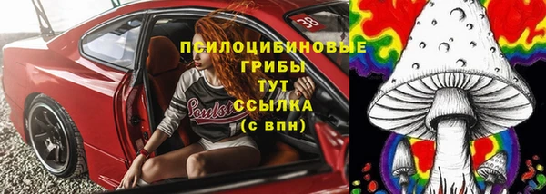 скорость Ладушкин