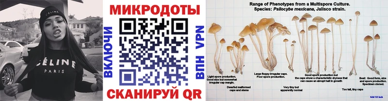 Псилоцибиновые грибы мицелий  Андреаполь 